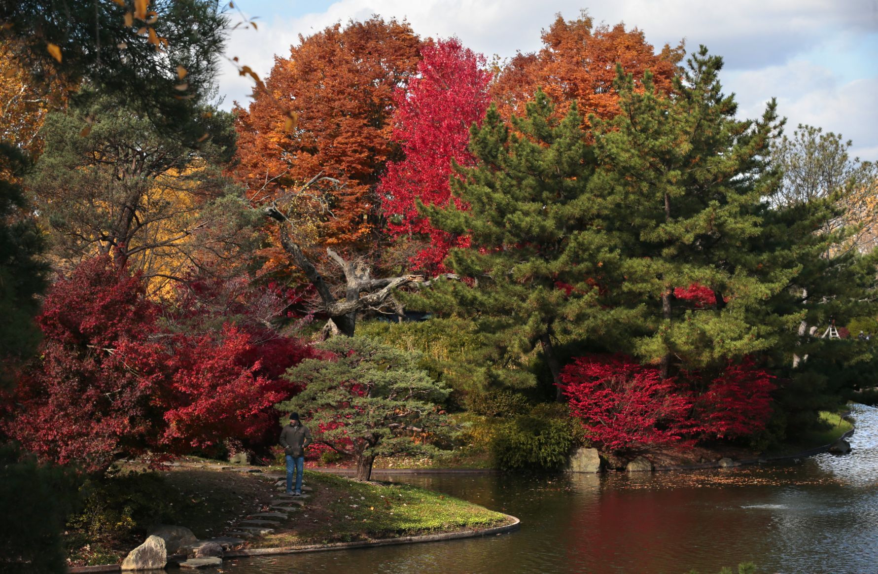 Last gasp of fall color as Garden Glow kicks off at Missouri Botanical Garden
